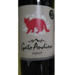 gato andino merlot